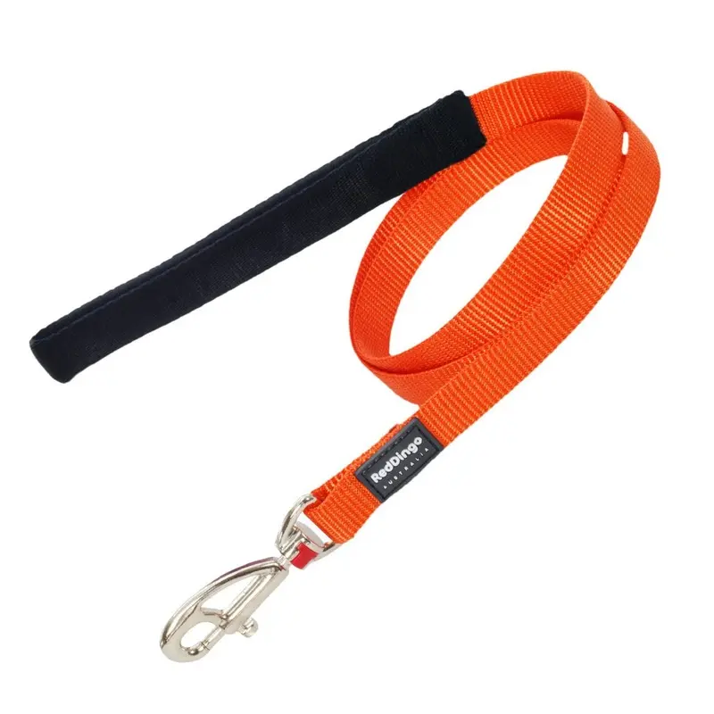 Red-Dingo Orange,Red Red Dingo Plain Orange Dog Lead (20 Mm X 1.2M) 1.2M
