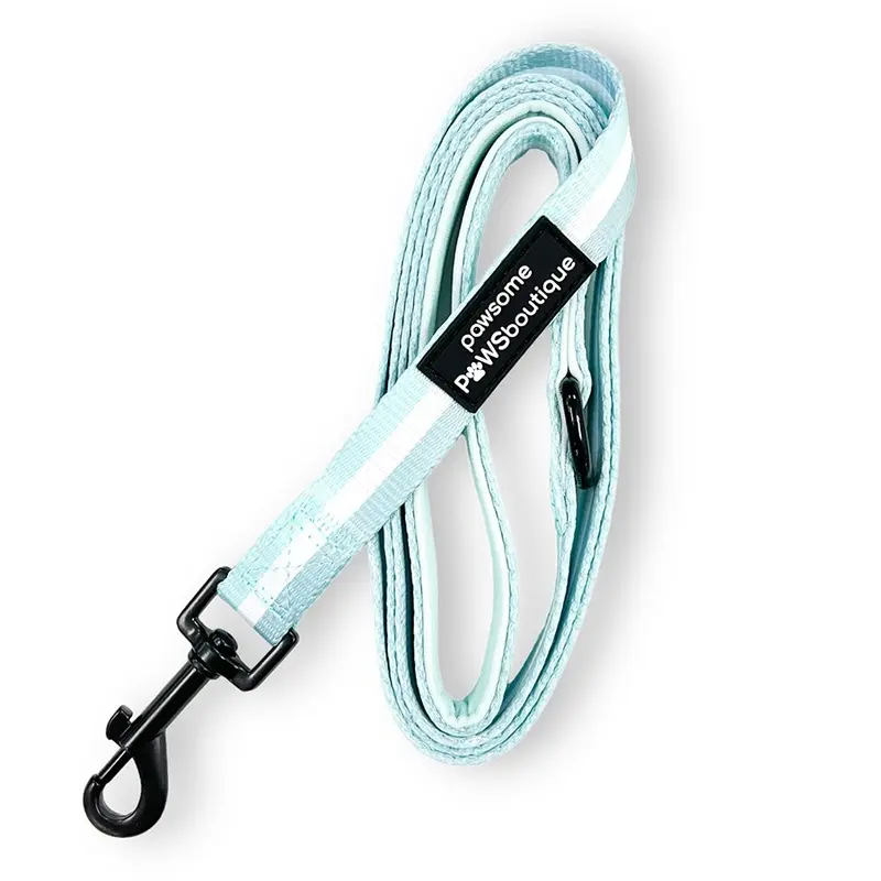 Pawsome Paws Boutique Essentials Fabric Dog Lead Mint