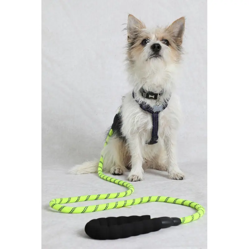 Weird Fish Mens Lime Wilf Reflective Rope Dog Lead