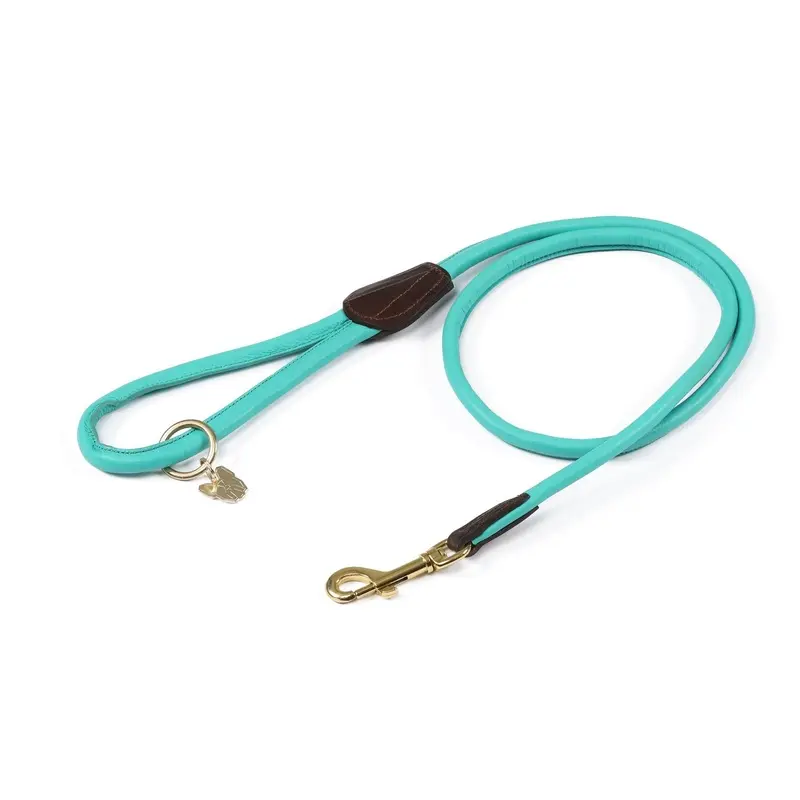 Digby And Fox Rolled Leather Dog Lead Teal - One 110Cm