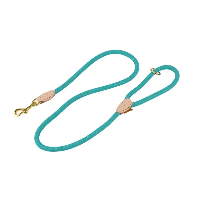 Digby & Fox Blue (One Size, Teal) Reflective Leather Dog Lead