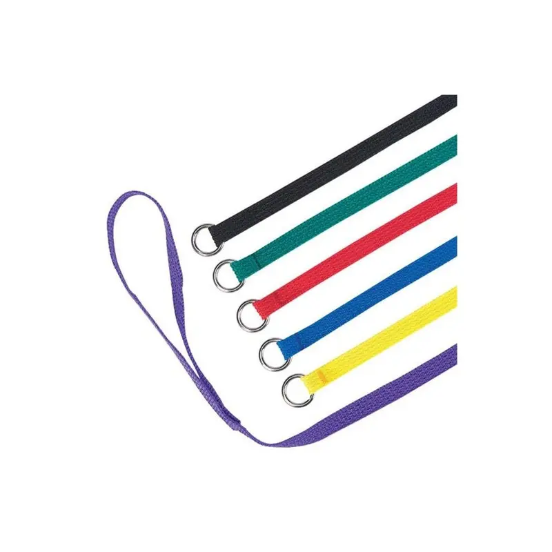 Pamperedpets Kennel Leads 6 Ft 6-Pk Asst Colors 6Ft