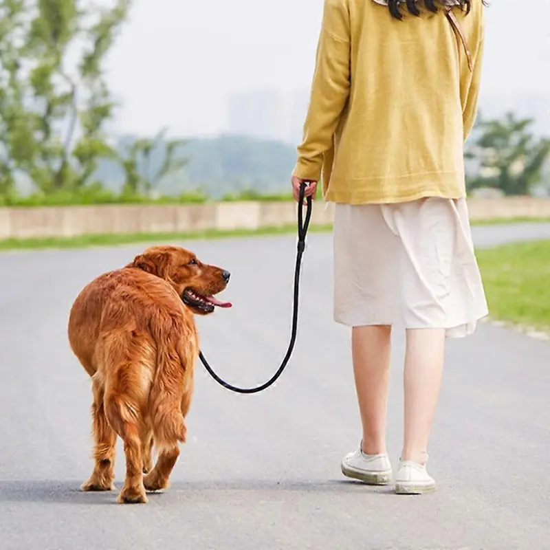 (As show, One size) Dog Leash Training Lead Outdoor Long Leash
