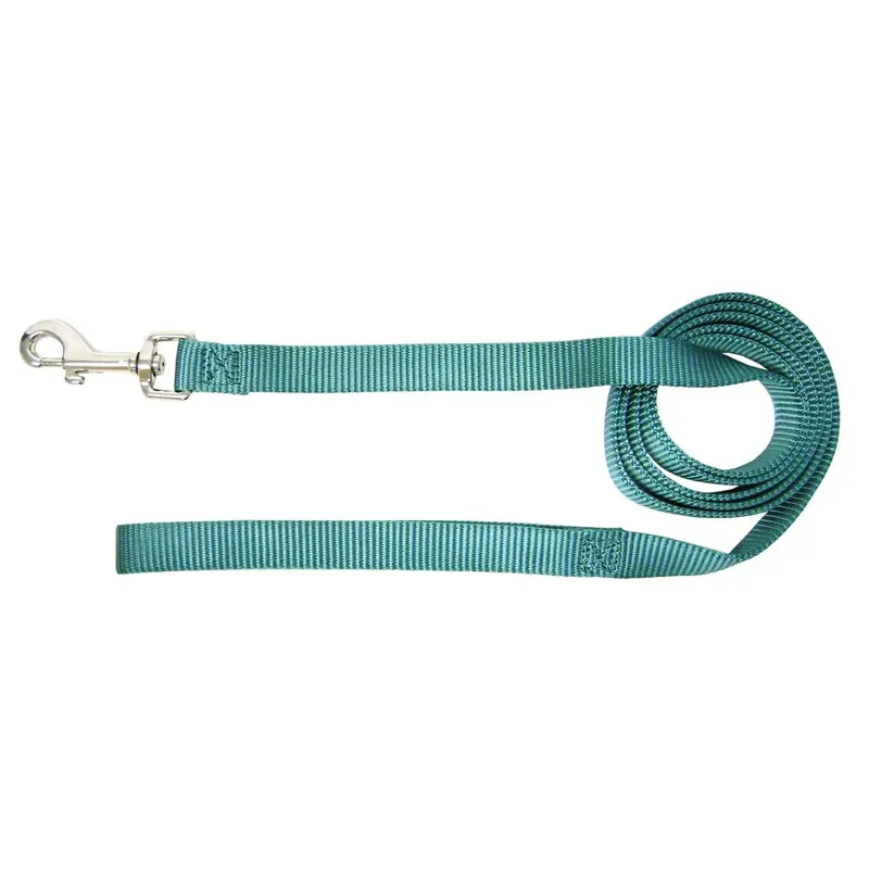 New Hamilton Single Thick Nylon Dog Lead 1-Inch By 6-Feet Teal Blue Slo 6Te