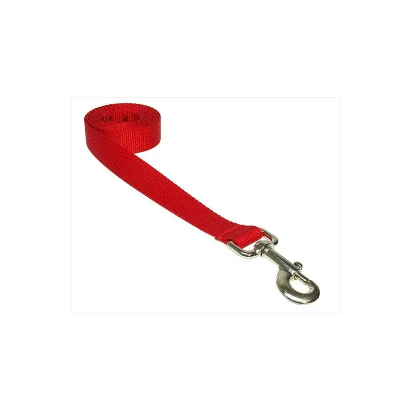 Sassy Dog Wear Red Solid Sm-L 4 Ft. Nylon Webbing Dog Leash, - & Small
