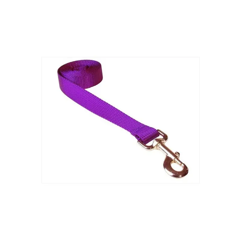 Fly Free Zone,Inc. Purple 6 Ft. Nylon Webbing Dog Leash, - Medium
