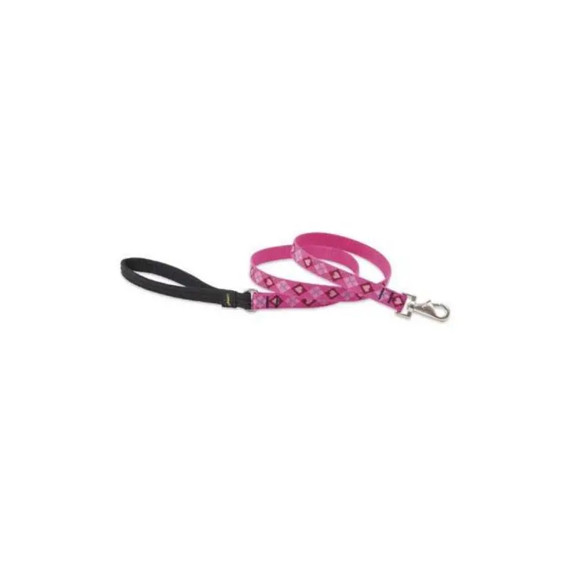 Lupine Pet Lupine 14209 .75 In. Puppy Love 6 Ft. Padded Handle Dog Leash .75In