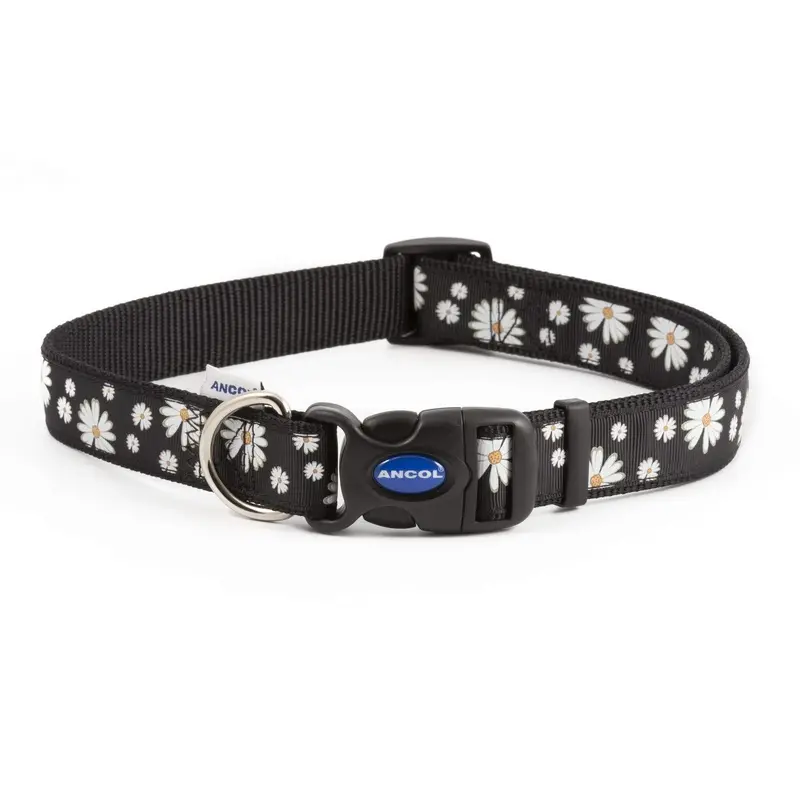 Ancol Patterned Collection Lead Black Daisy 1 m x 19mm,Transparent
