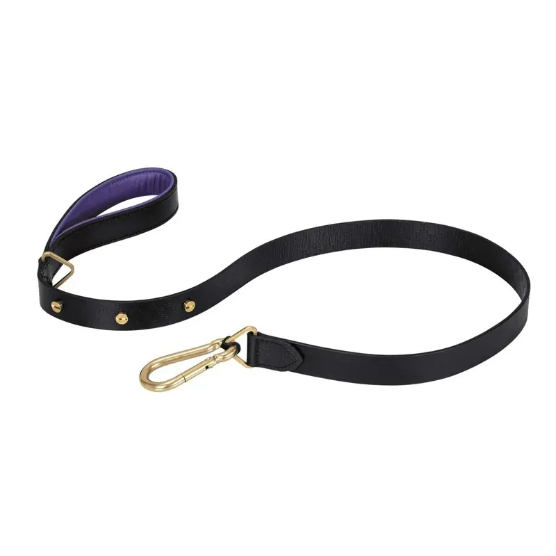 Buster + Punch Dog Lead - Brass / Designer Pets All Products - Do Not Publish 2.7Cm