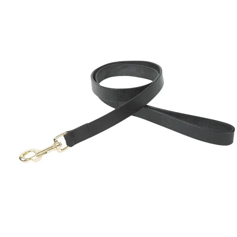 Digby & Fox Black (S, ) Flat Leather Dog Lead