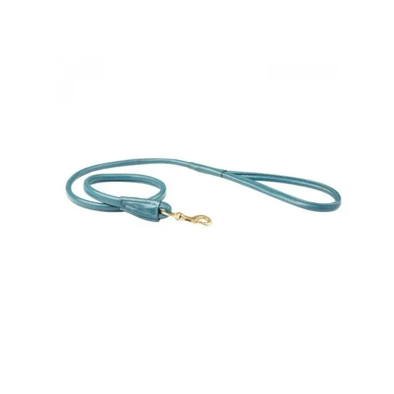 Weatherbeeta Rolled Leather Dog Lead - Teal - Medium
