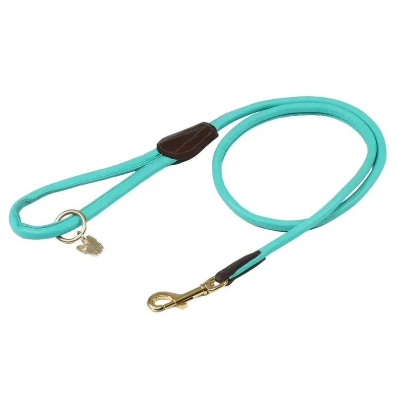 Digby & Fox Blue (One Teal) Rolled Leather Dog Lead 110Cm