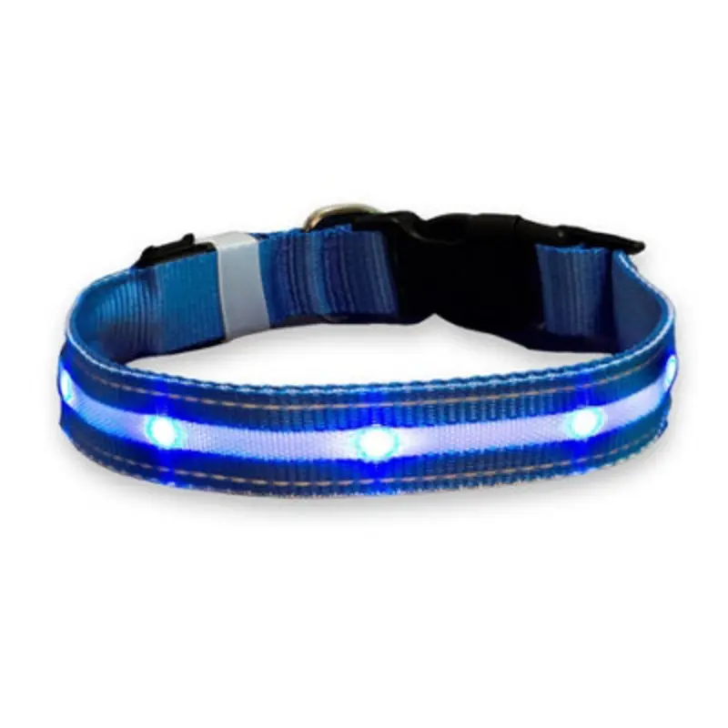 Asab Light/Blue Up Led Dog Collar 48-60Cm - Large