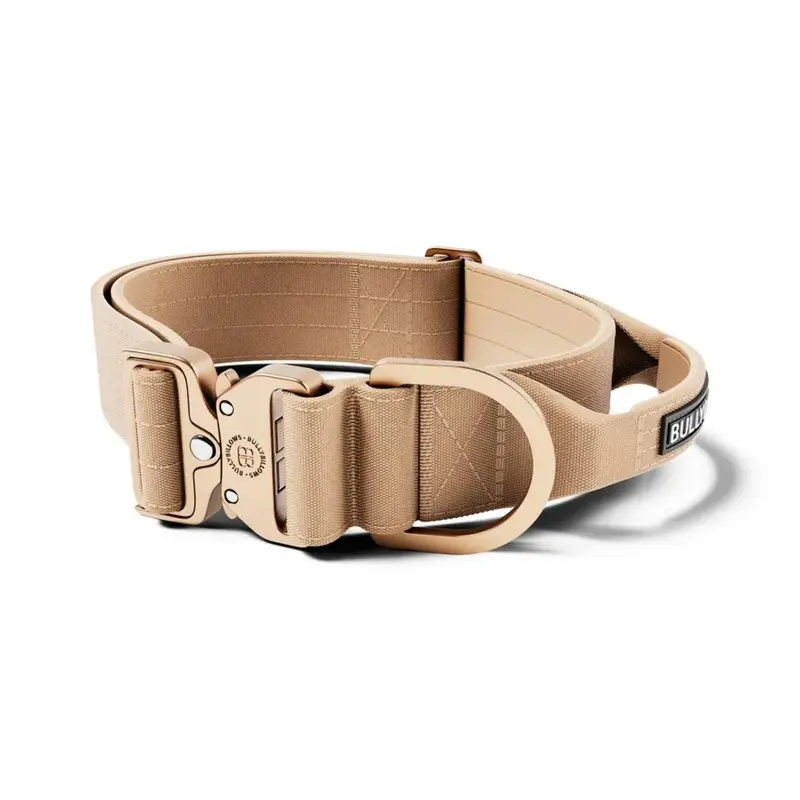 Bullybillows Unisex Beige 5Cm Lighter Combat Collar - Military Tan Medium