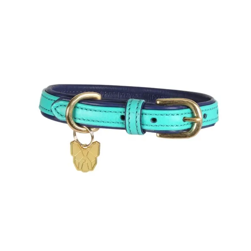 Digby And Fox Padded Leather Dog Collar Aqua - Medium