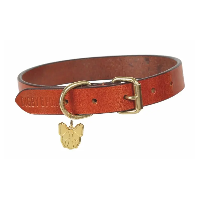 Digby & Fox (M - Neckline: 15In-18In, Tan) Flat Leather Dog Collar