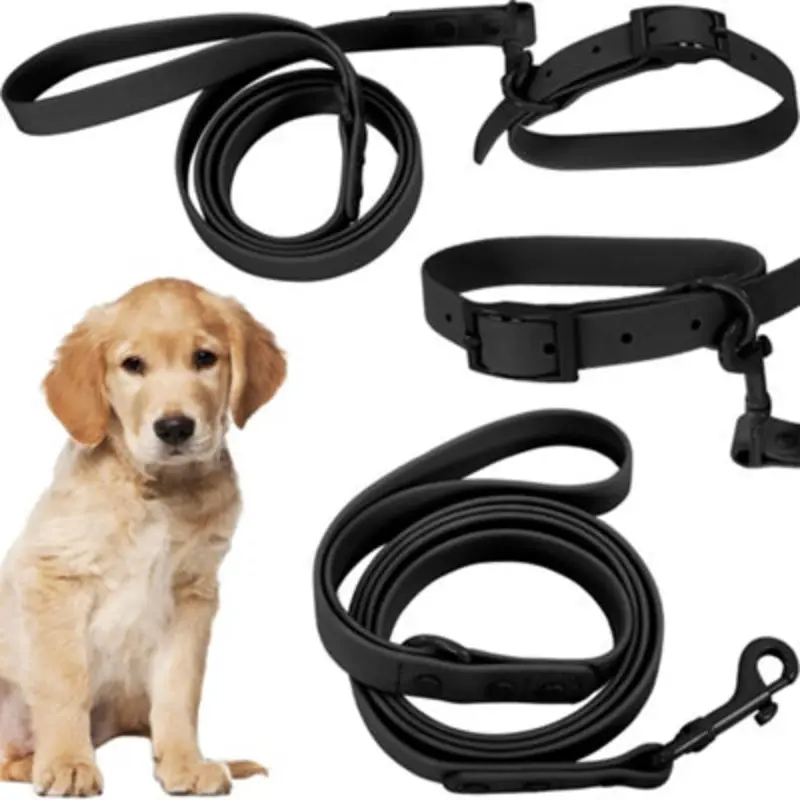 Tutumi Black Leash And Collar Pj-071 Medium