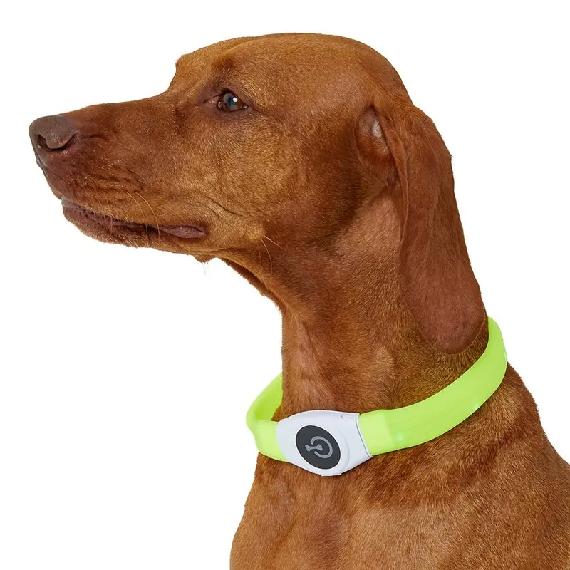 Pets At Home Usb Flash Light Up Dog Collar Yellow