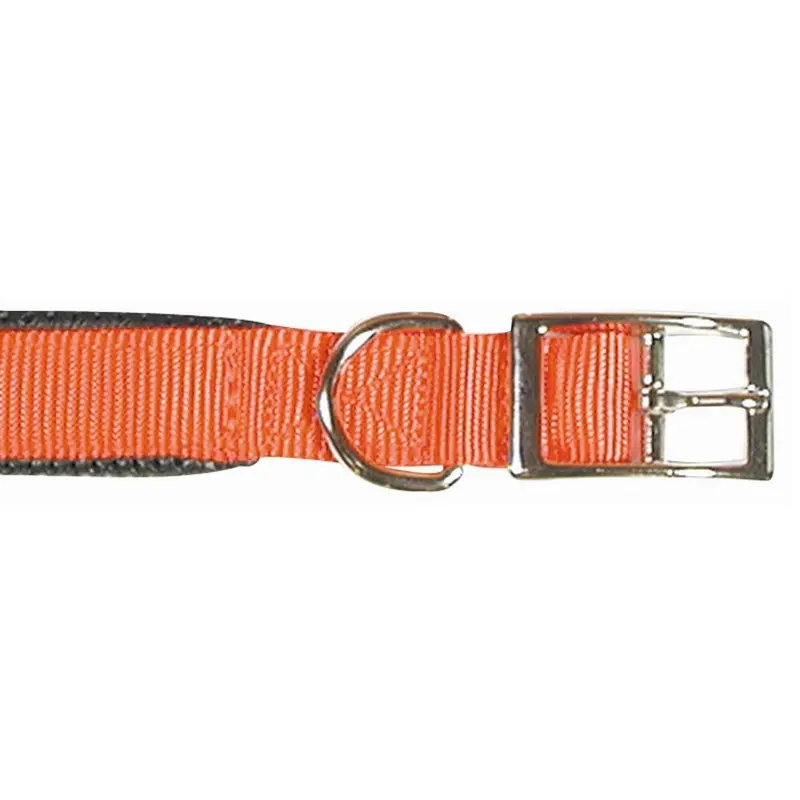 S/PROT DOG COLLAR 1 X 22 In RE