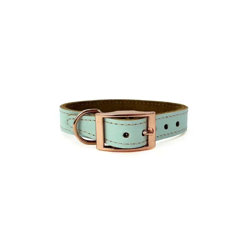 Skye & Murphy Unisex Light Blue Luxury Padded Leather Dog Collar Medium