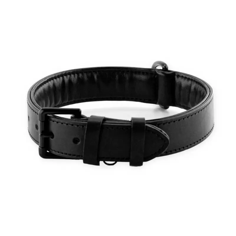 Brute Strength Black Leather Dog Collar With Stitching Xl 56-63 Cm
