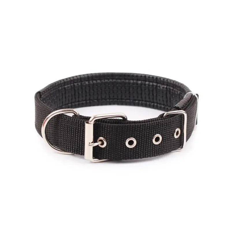 Hod Pets Black (, M) Walk Me Nylon Flat Dog Collar