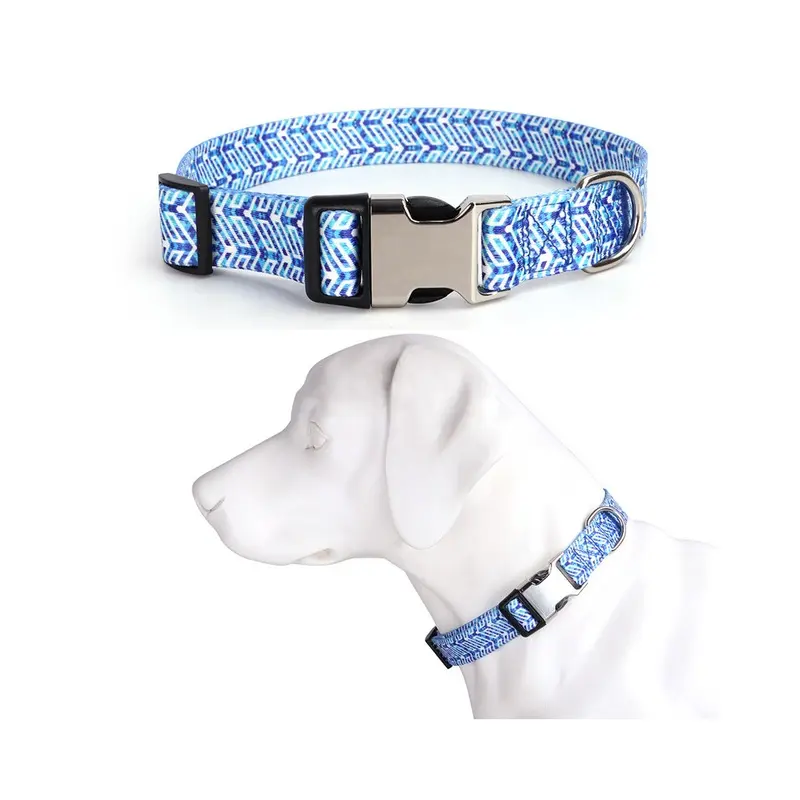 Paktoo Not,Specified (#2, S 28~40Cm) Adjustable Print Color Webbing Engraved Dog Collar