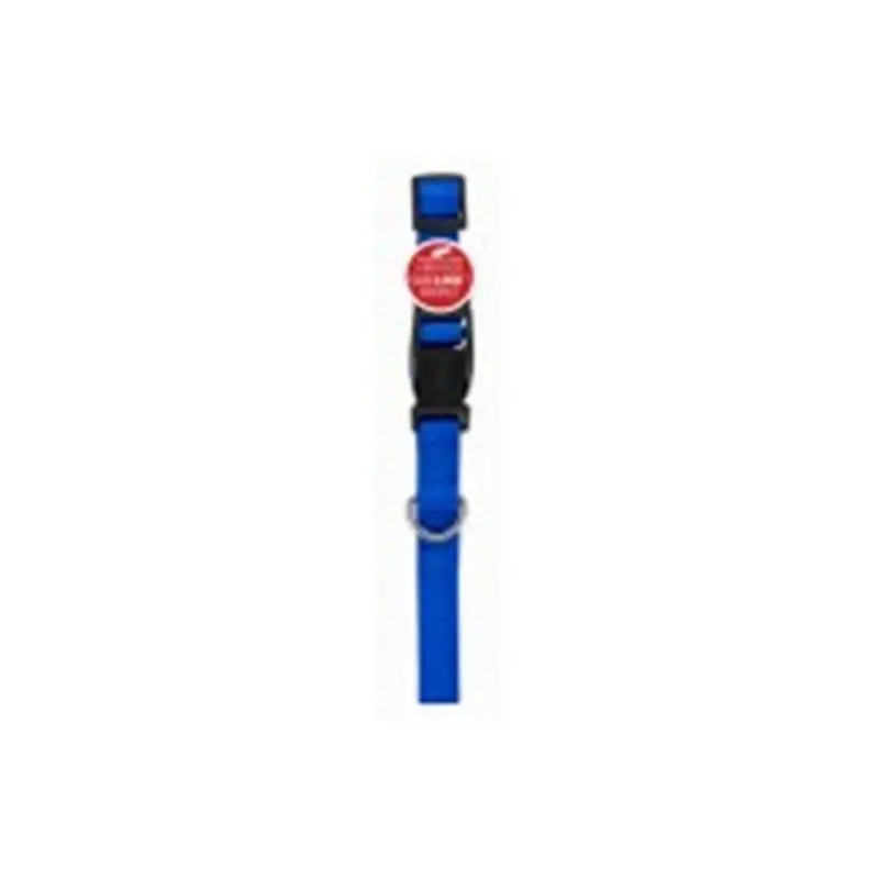 Peticare Blue Products X 16 In. Pet Expert Dog Collar, Size 0.62