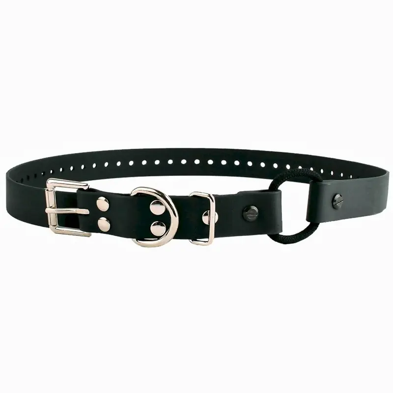 Educator Black Bungee Collar, 3/4-Inch Wide By 33-Inches Long,