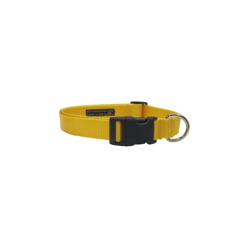 Sassy Dog Wear Yellow Nylon Webbing Dog Collar, - Medium