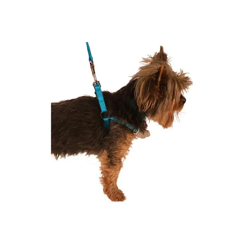 Fanciercriador Red Adjustable Harness, - 20-30 In. Medium
