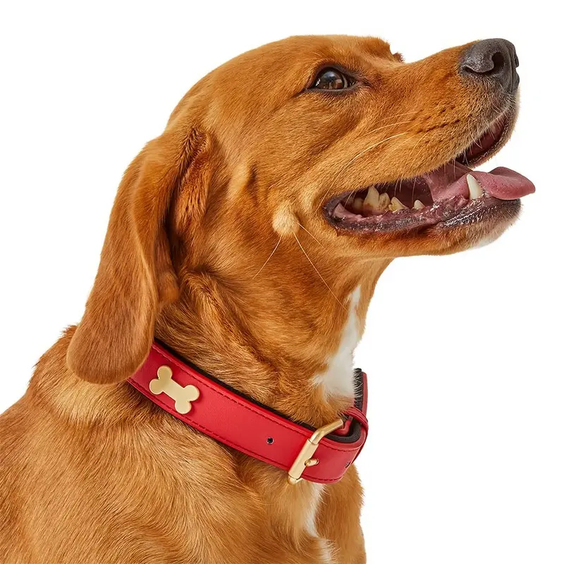 Pets At Home Faux Leather Bone Stud Dog Collar Red Medium