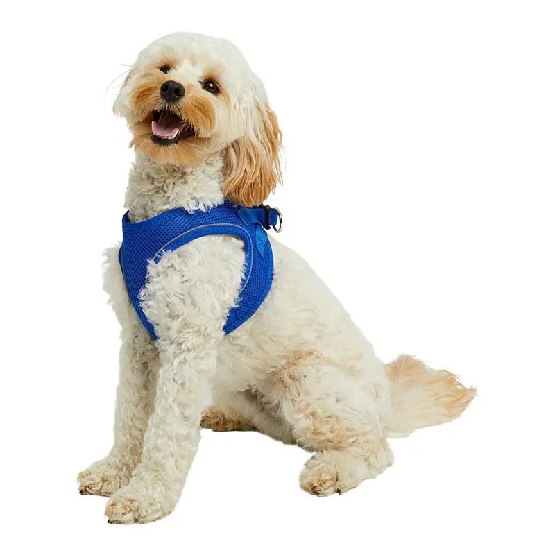 Pets At Home Mesh Dog Harness Blue X Small