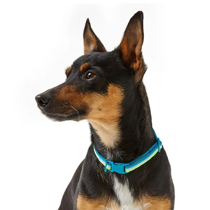 Pets At Home Woven Stripe Dog Collar Green X Small-Small