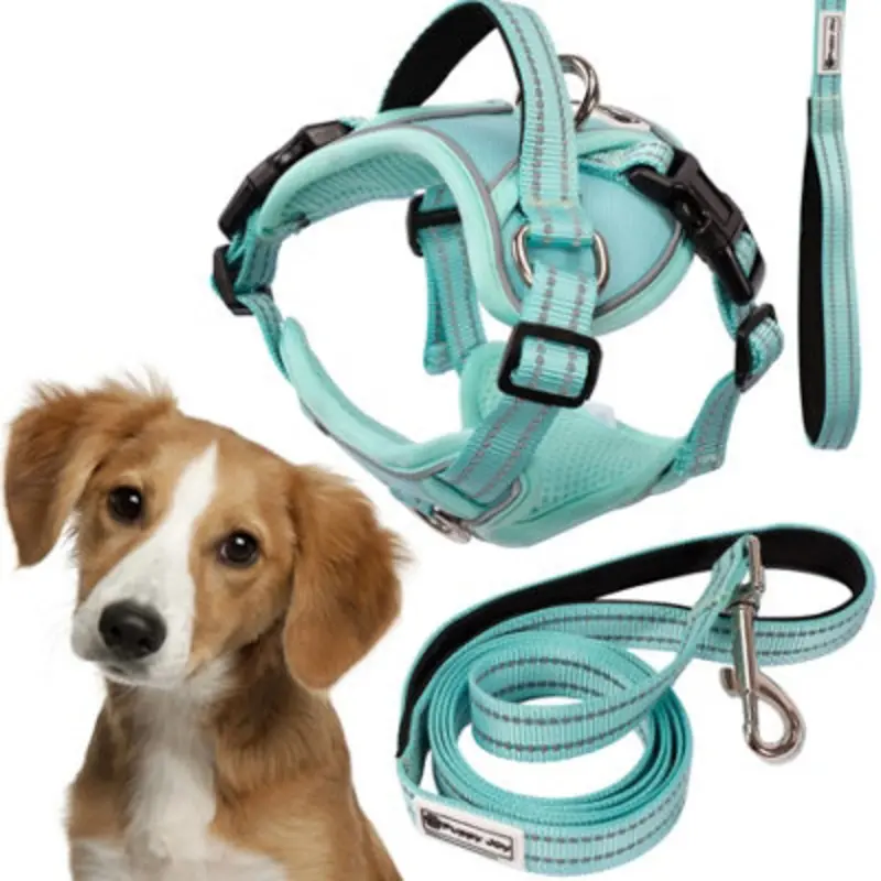 Tutumi Leash And Harness Pj-057 M Green