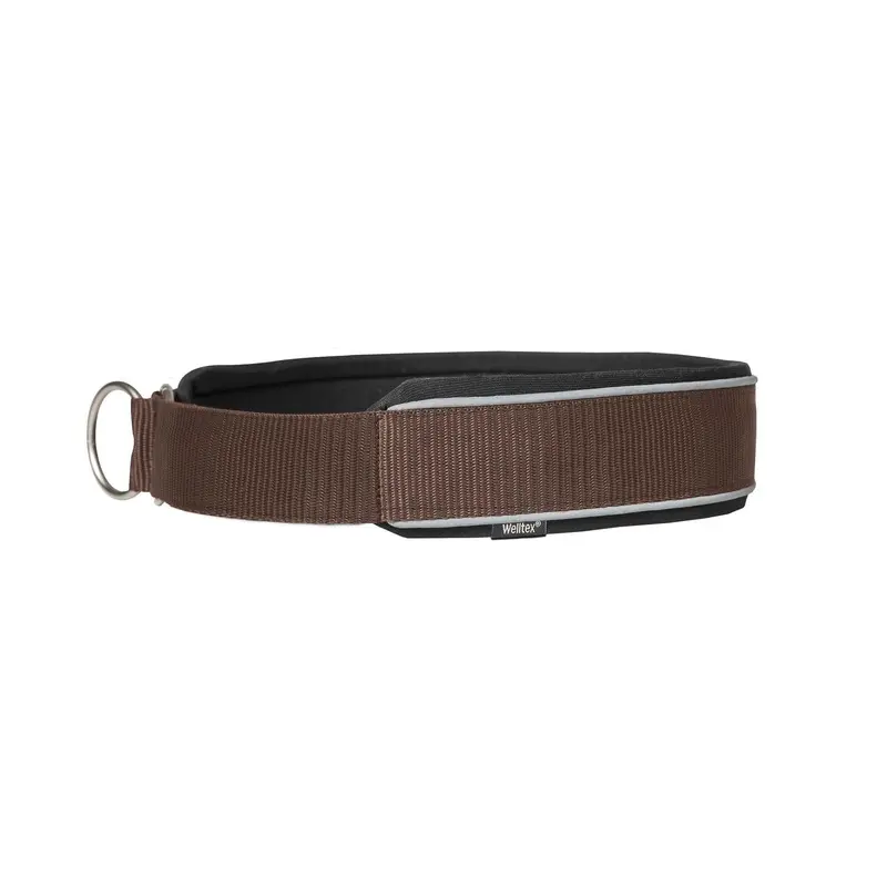 Back On Track Marron Dog Collar Charlie