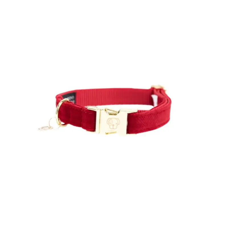 Kentucky Dogwear Rouge Dog Collar Kentucky Corduroy Small