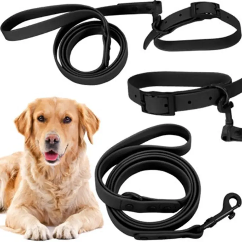 Tutumi Black Leash And Collar Pj-075 Large
