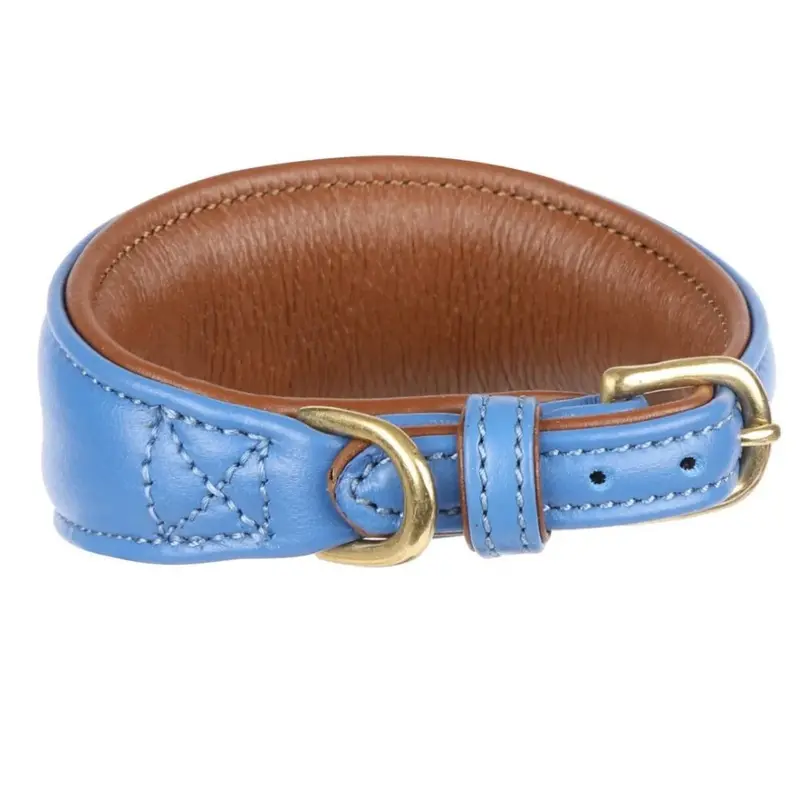 Digby & Fox Blue (M - Neckline: 29Cm-34Cm, Royal ) Leather Padded Greyhound Dog Collar