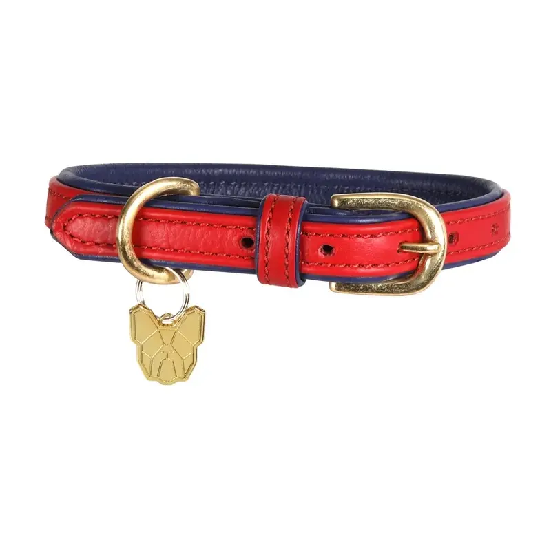 Digby & Fox Unisex Red Digby And Fox Padded Leather Dog Collar - Scarlett Small
