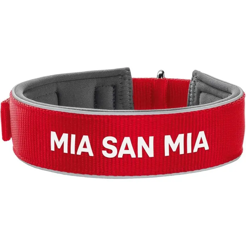 Hunter Neoprene Reflect FC Bayern, L-XL (65)