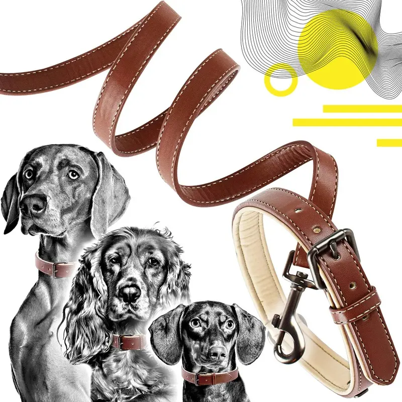 Ne&No Brown/Beige Collar And Lead Set (L, )