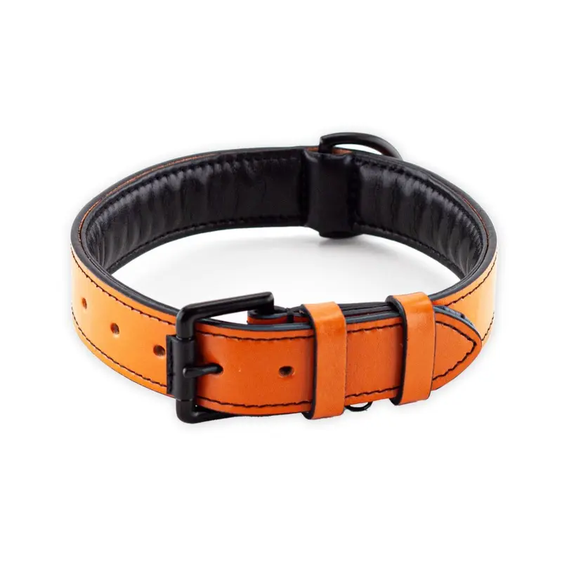 Brute Strength Orange Leather Dog Collar L 46-53 Cm