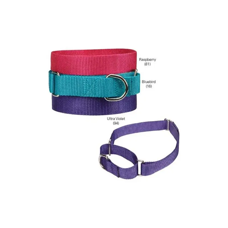 Guardian Survival Gear Guardian Gear Gg Nylon Martingale Cllr 10-16 In Raspberry