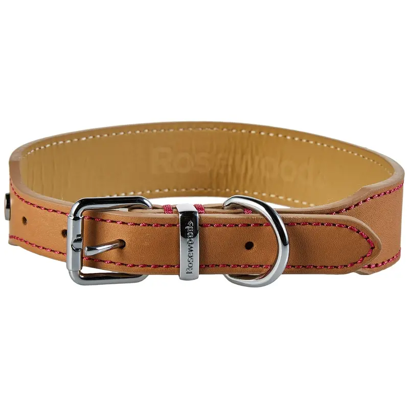 Rosewood Luxury Leather Dog Collar, 18-22-inch, Tan