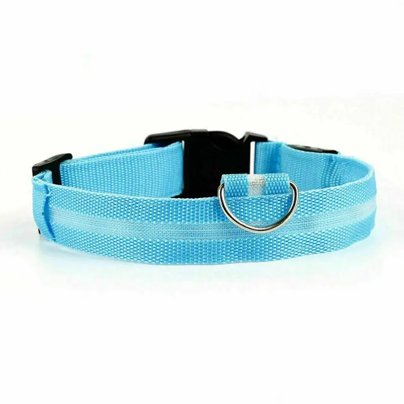 Blue (, Xl) Usb Rechargeable Led Flashing Luminous Safety Night Light Up Dog Pet Collar