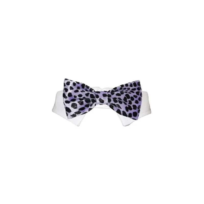 Petpurifiers Purple Roberto Bow Tie, - Medium