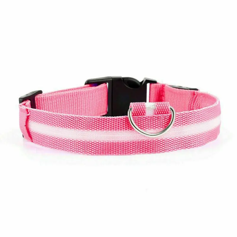 Pink (, Xs) Usb Rechargeable Led Flashing Luminous Safety Night Light Up Dog Pet Collar