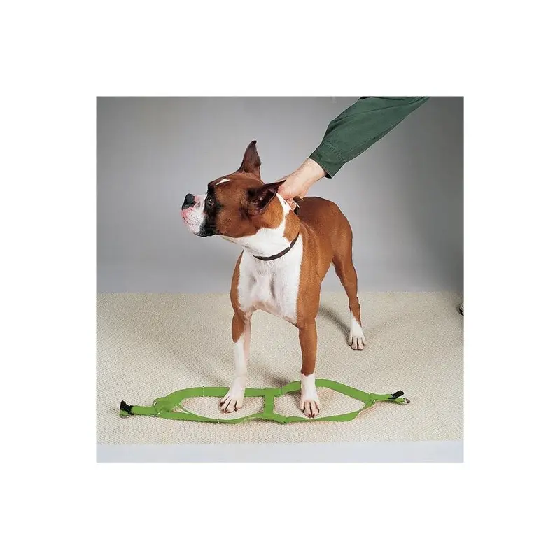 Partyanimal Green 15-25 In. Nylon Step Dog Harness, Size 2