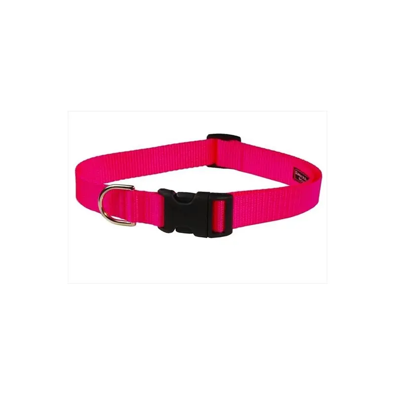 Sassy Dog Wear Pink Solid Neon Sm-C Nylon Webbing Dog Collar, Neon - Small